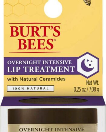 Burt Bees Overnight Lip Treatment - Burt's Bees Welovebeauty  - 792850901612