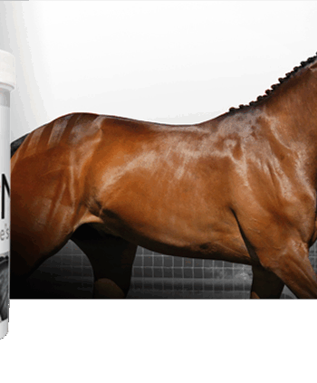 Naf Hudpleje Itch Supplement 780gr - Naf Welovebeauty  - 5032410018561