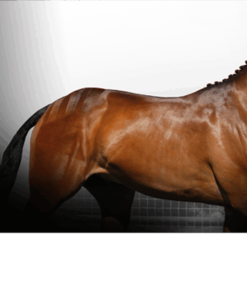 Naf Hudpleje Skin Lotion 500ml - Naf Welovebeauty  - 5032410130997